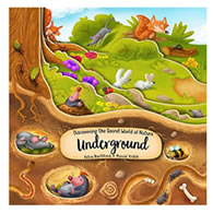 Discovering the Secret World of Nature Underground Board Book