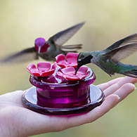 Perky-Pet Handheld & Tabletop Hummingbird Feeder
