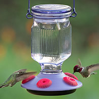 Lavender Field Top-Fill Glass Hummingbird Feeder